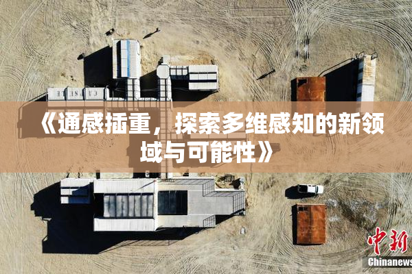 《通感插重，探索多维感知的新领域与可能性》