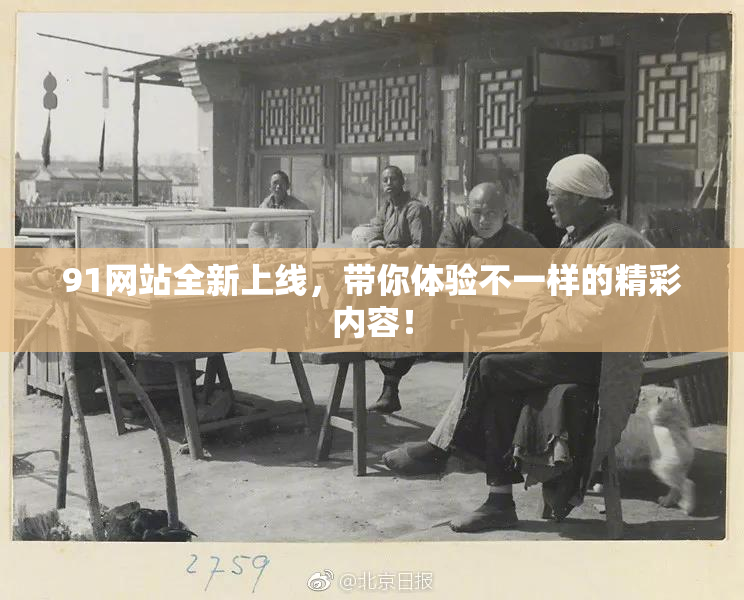 91网站全新上线，带你体验不一样的精彩内容！