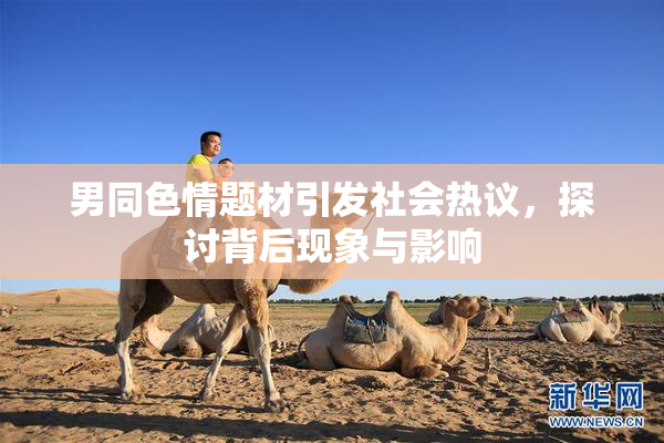 男同色情题材引发社会热议，探讨背后现象与影响