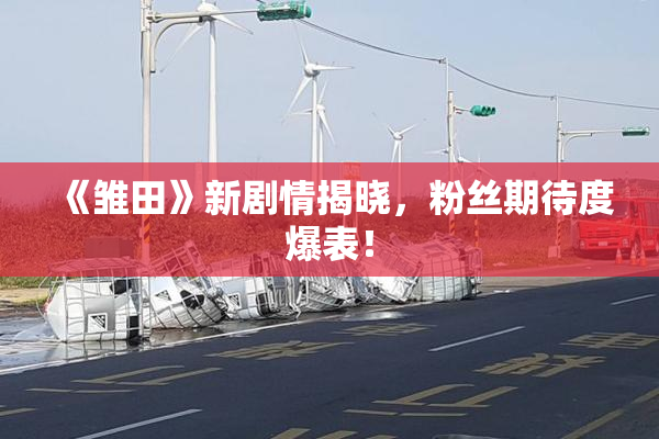 《雏田》新剧情揭晓，粉丝期待度爆表！