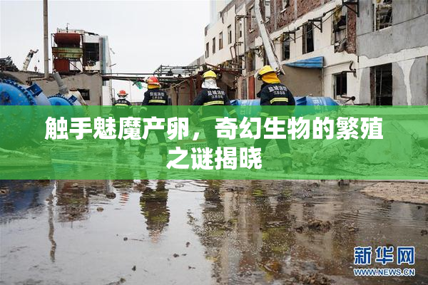 触手魅魔产卵，奇幻生物的繁殖之谜揭晓