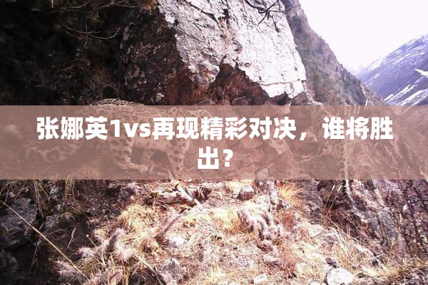 张娜英1vs再现精彩对决，谁将胜出？
