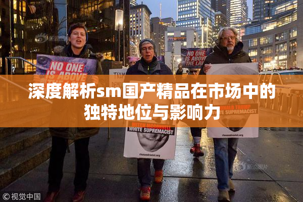 深度解析sm国产精品在市场中的独特地位与影响力