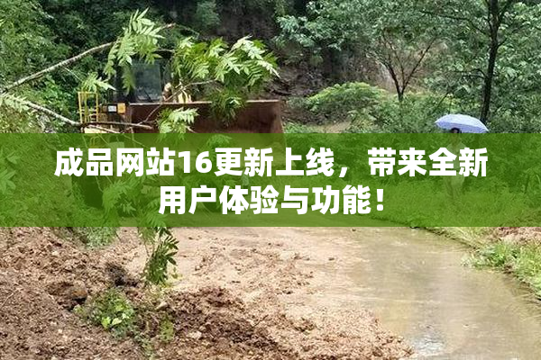 成品网站16更新上线，带来全新用户体验与功能！