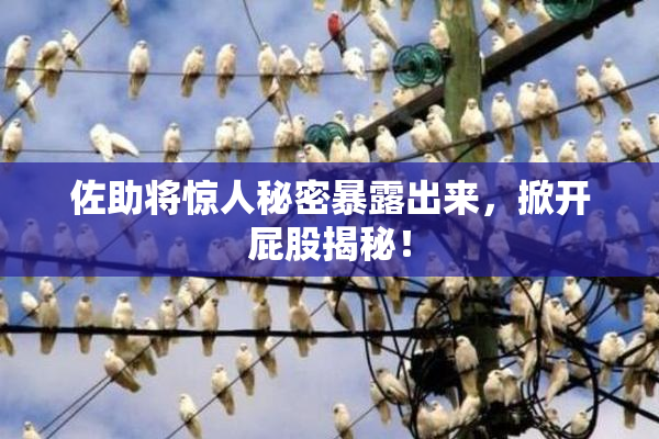 佐助将惊人秘密暴露出来，掀开屁股揭秘！