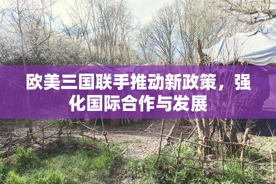 欧美三国联手推动新政策，强化国际合作与发展