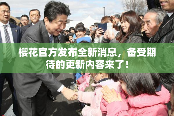 樱花官方发布全新消息，备受期待的更新内容来了！