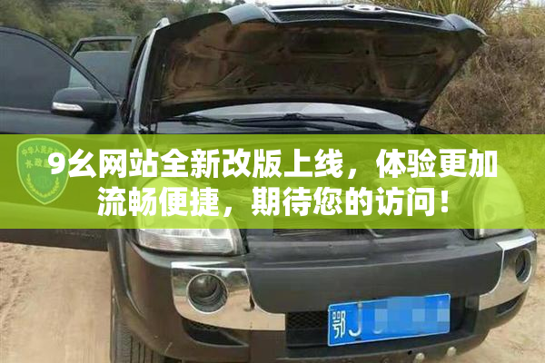 9幺网站全新改版上线，体验更加流畅便捷，期待您的访问！