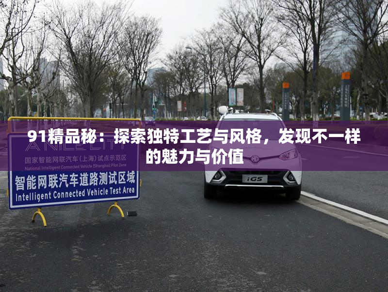 91精品秘：探索独特工艺与风格，发现不一样的魅力与价值