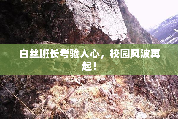 白丝班长考验人心，校园风波再起！