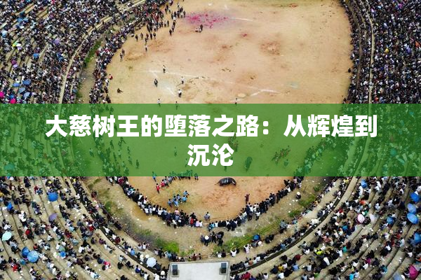 大慈树王的堕落之路：从辉煌到沉沦