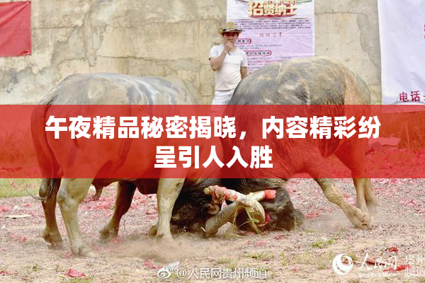 午夜精品秘密揭晓，内容精彩纷呈引人入胜
