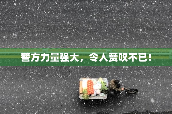 警方力量强大，令人赞叹不已！