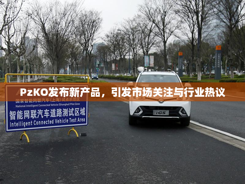 PzKO发布新产品，引发市场关注与行业热议