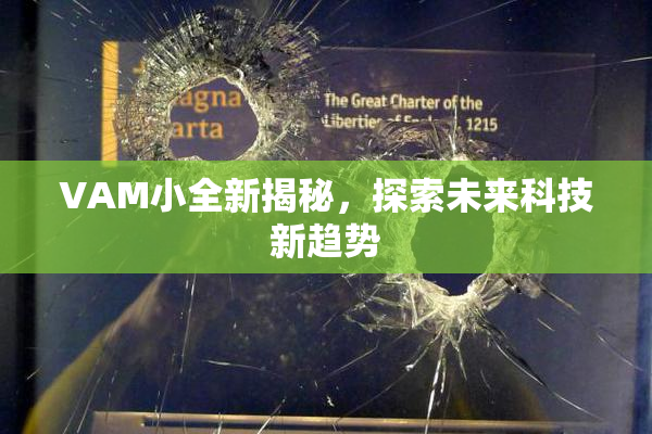 VAM小全新揭秘，探索未来科技新趋势