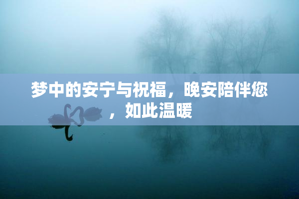 梦中的安宁与祝福，晚安陪伴您，如此温暖