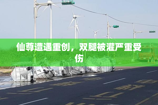 仙尊遭遇重创，双腿被灌严重受伤