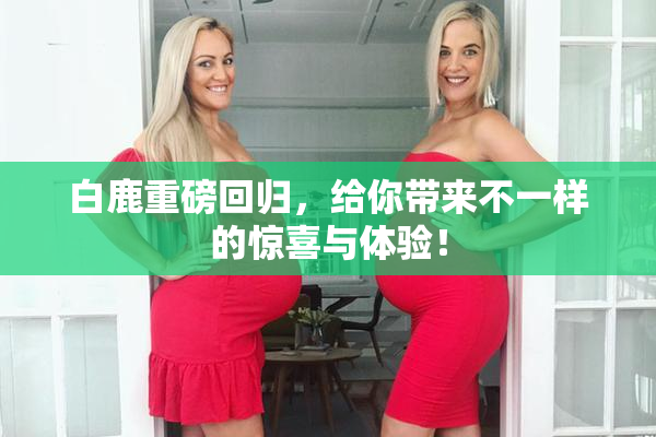 白鹿重磅回归，给你带来不一样的惊喜与体验！