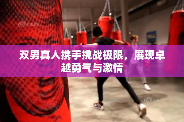 双男真人携手挑战极限，展现卓越勇气与激情