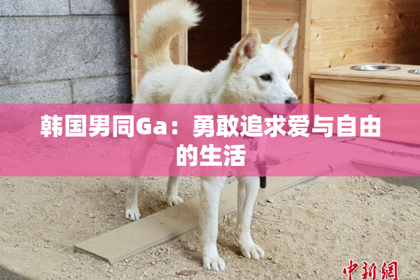 韩国男同Ga：勇敢追求爱与自由的生活