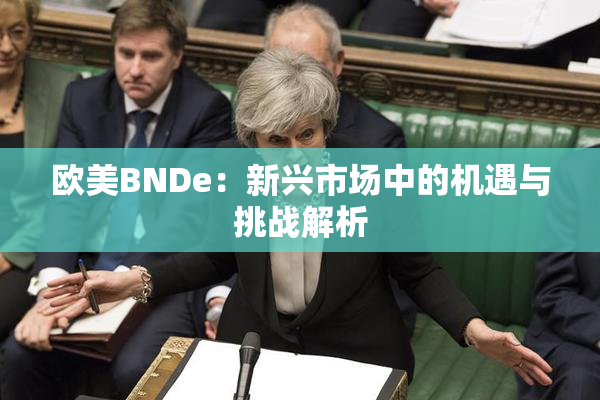 欧美BNDe：新兴市场中的机遇与挑战解析