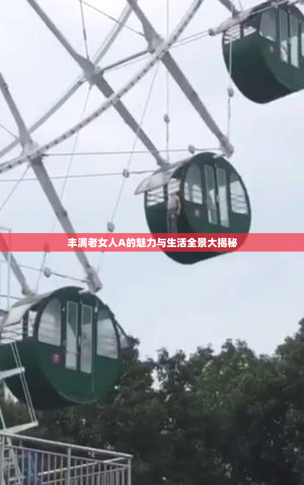 丰满老女人A的魅力与生活全景大揭秘