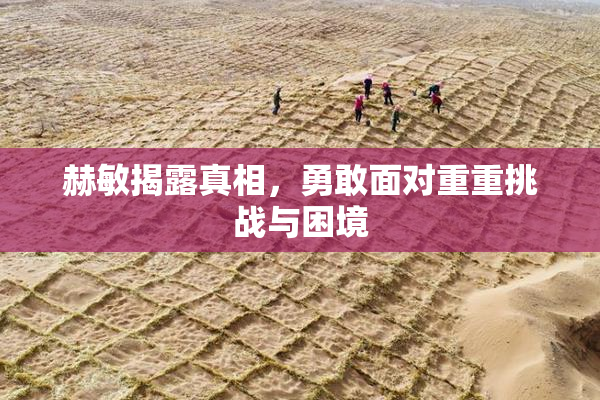 赫敏揭露真相，勇敢面对重重挑战与困境