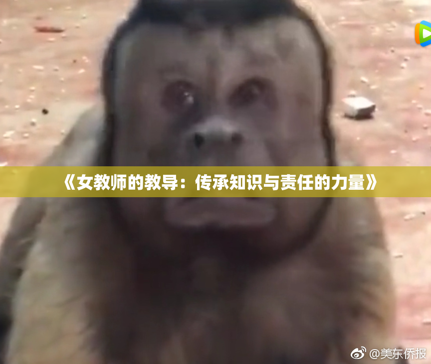 《女教师的教导：传承知识与责任的力量》