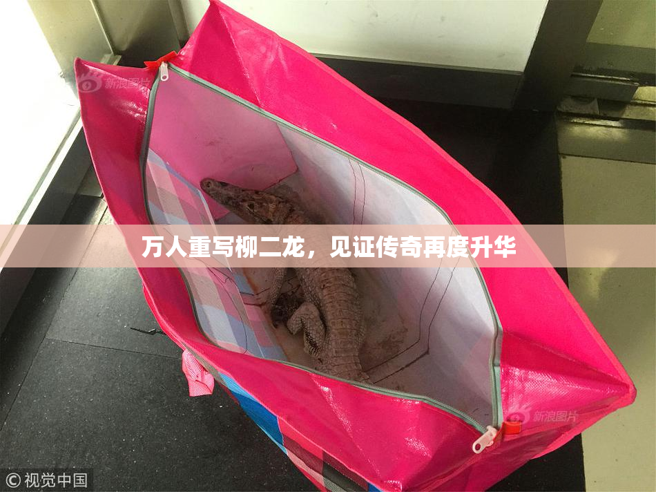 万人重写柳二龙，见证传奇再度升华