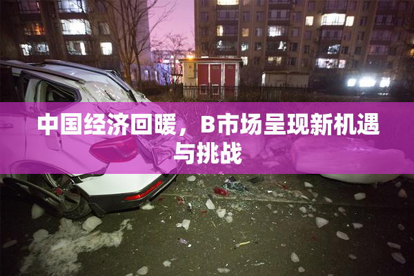 中国经济回暖，B市场呈现新机遇与挑战