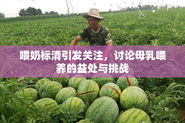 喂奶标清引发关注，讨论母乳喂养的益处与挑战
