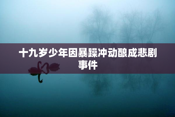 十九岁少年因暴躁冲动酿成悲剧事件