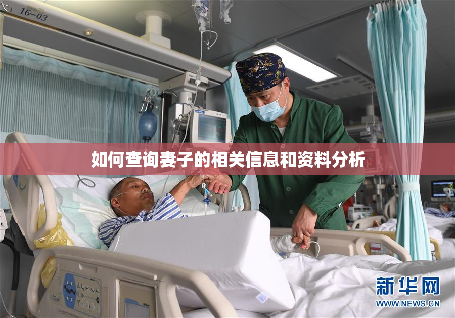 如何查询妻子的相关信息和资料分析