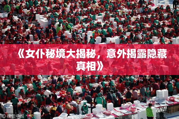 《女仆秘境大揭秘，意外揭露隐藏真相》