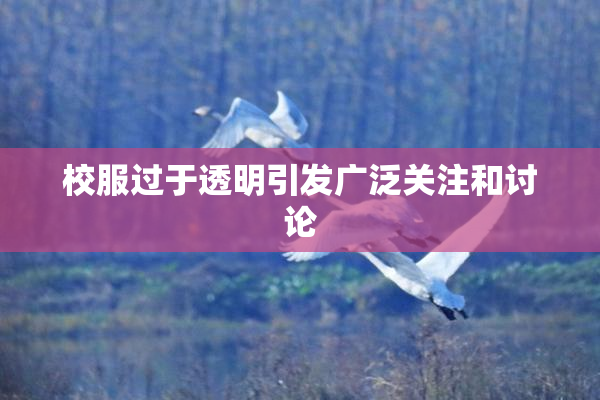 校服过于透明引发广泛关注和讨论