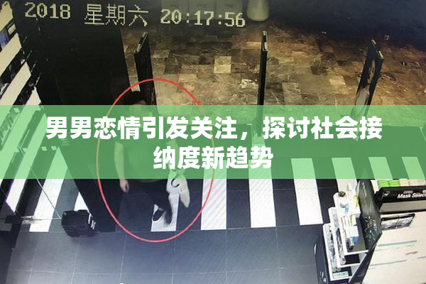 男男恋情引发关注，探讨社会接纳度新趋势