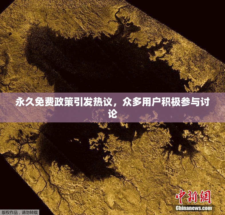 永久免费政策引发热议，众多用户积极参与讨论