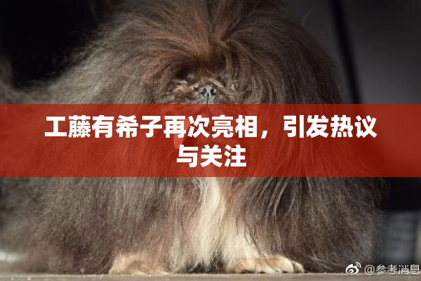 工藤有希子再次亮相，引发热议与关注