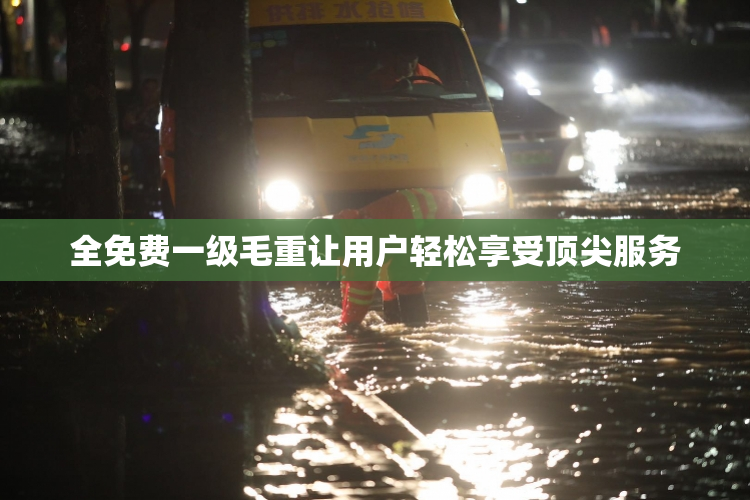 全免费一级毛重让用户轻松享受顶尖服务