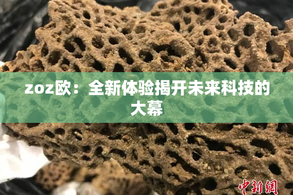 zoz欧：全新体验揭开未来科技的大幕
