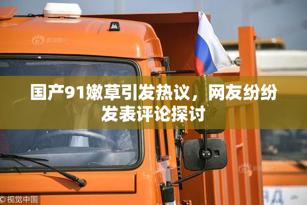 国产91嫩草引发热议，网友纷纷发表评论探讨