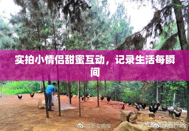 实拍小情侣甜蜜互动，记录生活每瞬间