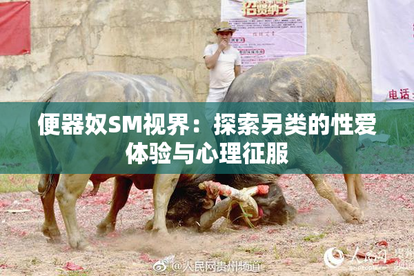 便器奴SM视界：探索另类的性爱体验与心理征服