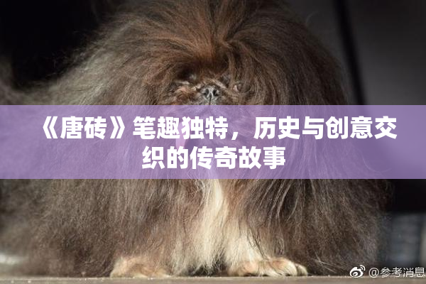 《唐砖》笔趣独特，历史与创意交织的传奇故事