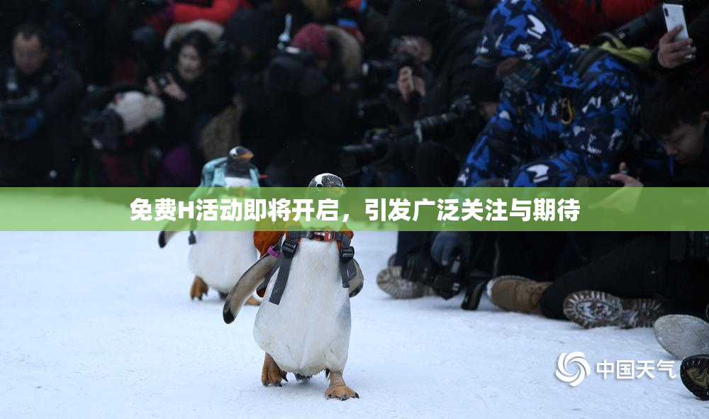 免费H活动即将开启，引发广泛关注与期待