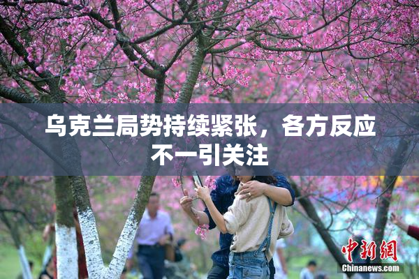 乌克兰局势持续紧张，各方反应不一引关注
