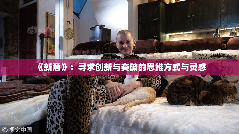 《新意》：寻求创新与突破的思维方式与灵感