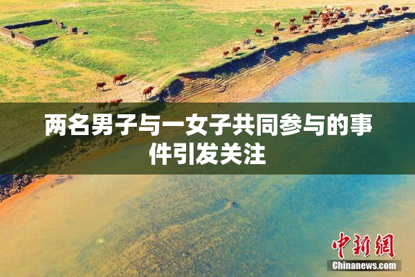 两名男子与一女子共同参与的事件引发关注