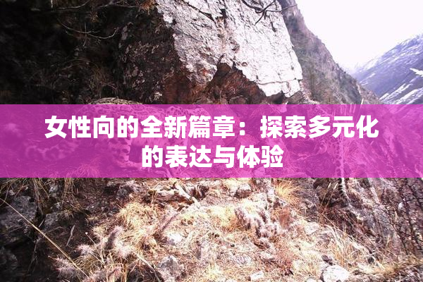 女性向的全新篇章：探索多元化的表达与体验