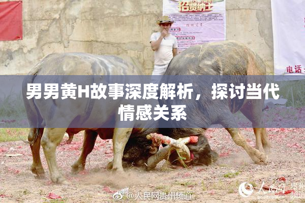男男黄H故事深度解析，探讨当代情感关系